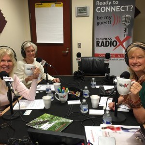 Spotlight Episode on Divorce Mediation with Kelley Linn, Marti Kitchens Cobb and Dr. Linda Olson