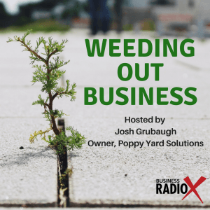 Tucson Business Radio – Weeding Out Business ep1