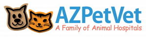 2018AZPVLogoHorizontal4c