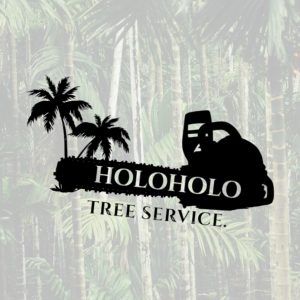 Keali’i and Carryssa Krzyska with Holoholo Tree Service