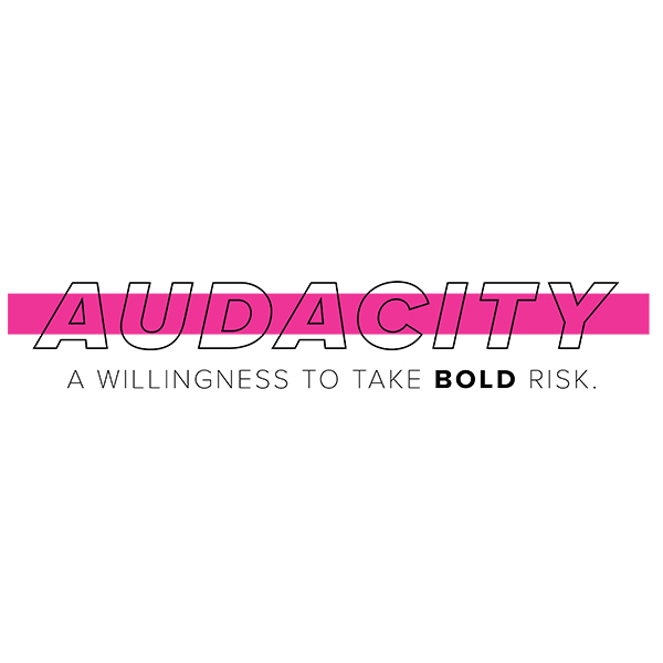 Audacity Marketing