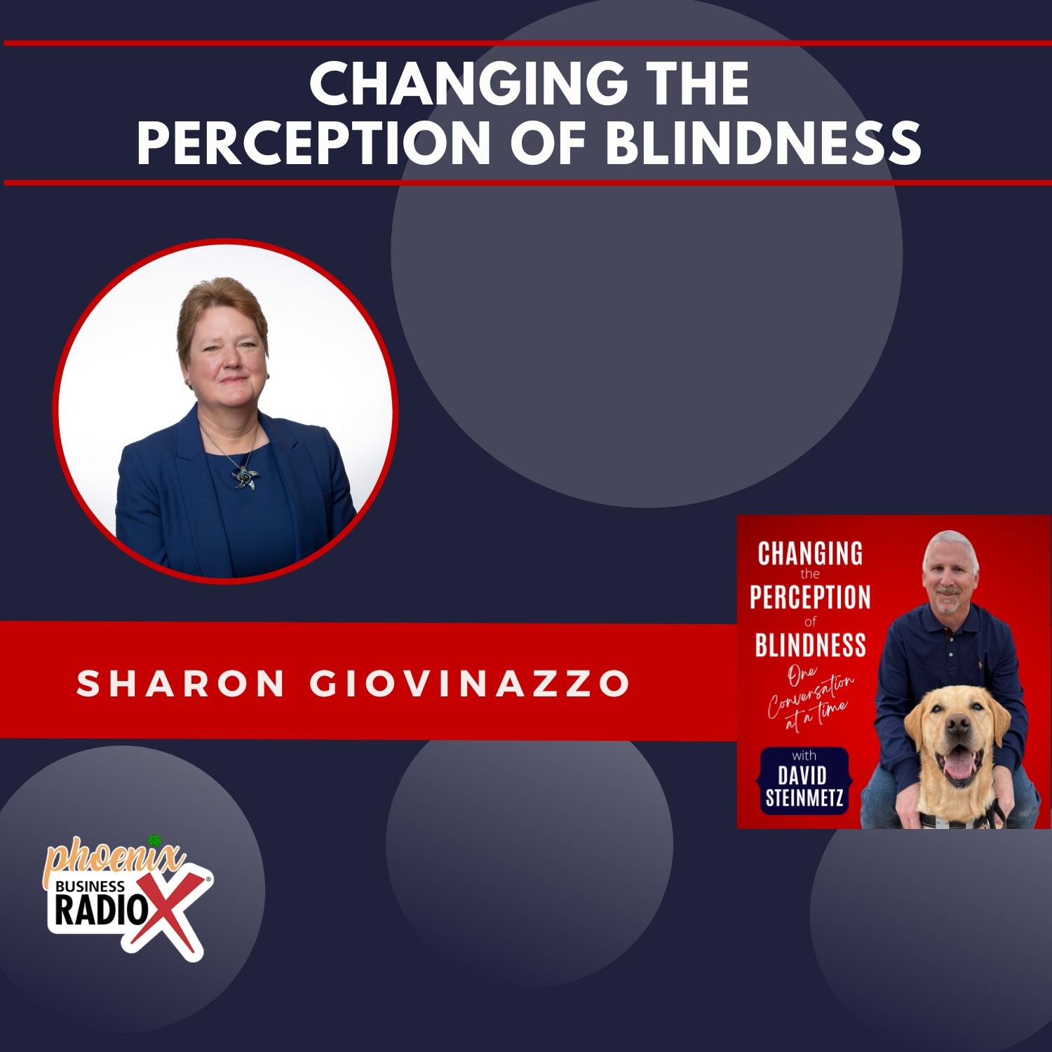 Changing the Perception of Blindness Voicing-the-Needs-for-Change-feature