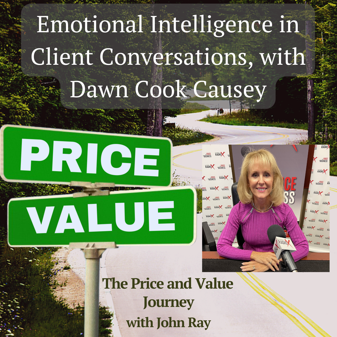 North Fulton Studio Emotional Intelligence in Client Conversations, with Dawn Cook Causey, DayBreak Enterprises, on The Price and Value Journey podcast with host John Ray
